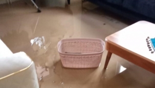 Soma yağmurdan 15 hayvan telef oldu