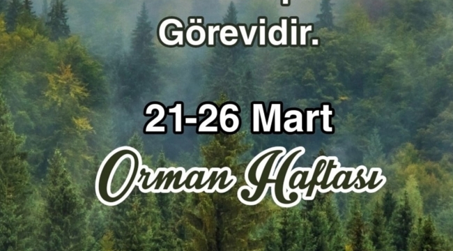 Başkan Bilgin'den orman haftası kutlaması