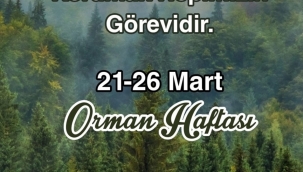 Başkan Bilgin'den orman haftası kutlaması
