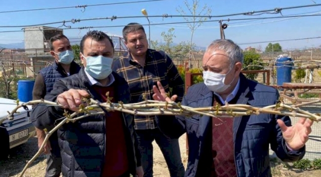 CHP'li vekiller donun vurduğu bağlarda inceleme yaptı