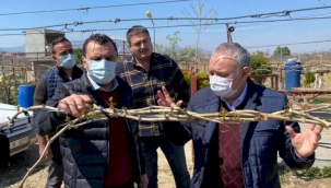 CHP'li vekiller donun vurduğu bağlarda inceleme yaptı