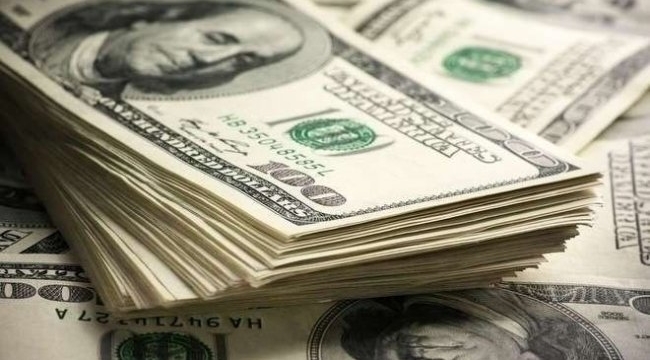Dolar haftaya düşüşle başladı
