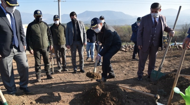 Lavanta törenine vali Karadeniz'de katıldı