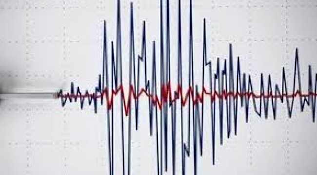 Muğla'da 4.2 büyüklüğünde deprem 