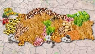 AKP ürettirmez ithal eder