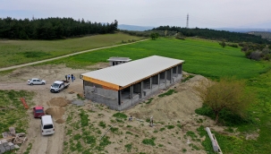 Apak mahallesine zeytin alım yeri 