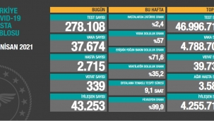 Bugün 339 dün 341 kişi yaşamını yitirdi