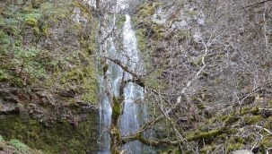Doğa severlerin yeni gözdesi Demirci cevizli dere