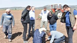 Öztürk,ekim alanlarını denetledi