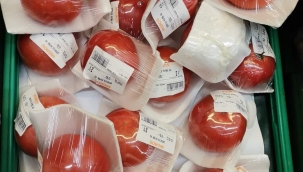 Taneyle domates satışı,hayaldi gerçek oldu