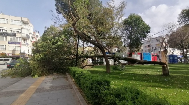 Turgutlu'da fırtına etkili oldu