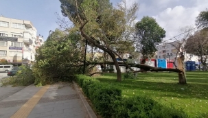 Turgutlu'da fırtına etkili oldu