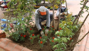 Turgutlu mevsimlik çiçeklerle renklendi
