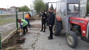 Yabani ot temizliği