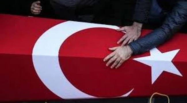  Zeytin Dalı Harekat bölgesinde 2 asker şehit