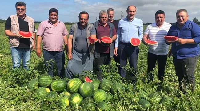Adana karpuzu tezgahlarda