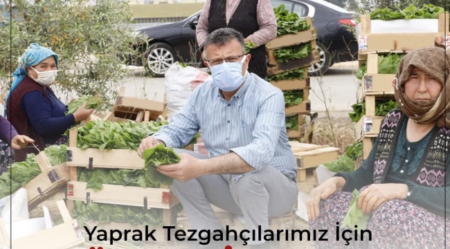Alaşehir belediyesinden yaprak tezgahçıları için uyarı