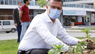 Alaşehir'de bahar temizliği