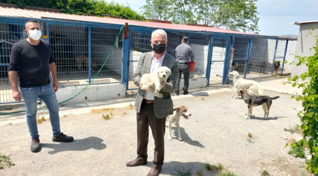 Başkan Bilgin, yavruları elleriyle besledi