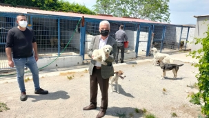 Başkan Bilgin, yavruları elleriyle besledi