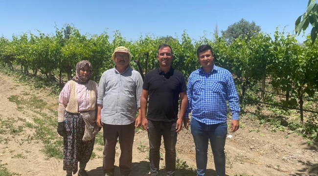 CHP'lilerden bağda üretici ziyaretleri