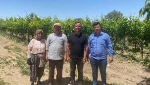 CHP'lilerden bağda üretici ziyaretleri