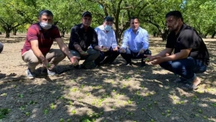 CHP'liler fırtınada zarar gören erik bahçelerini gezdi