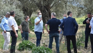 Dutlulu, turistik tanıtım için kollar sıvadı