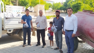 Saruhanlı'da 3 bin aileye lahana dağıtıldı