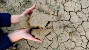 TZOB Genel Başkanı Bayraktar,kuraklık raporunu açıkladı