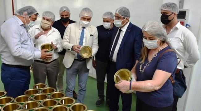 Akhisar'a modern zeytin ve zeytinyağı işleme tesisi