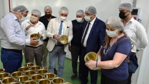 Akhisar'a modern zeytin ve zeytinyağı işleme tesisi