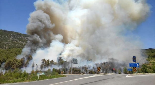 Antalya da orman yangını, karayolu kapandı trafik durdu