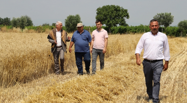 Başkan Bilgin ,ekti,biçti,un yapıp halka dağıtacak