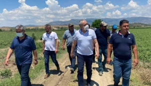 CHP'liler yağışlardan ürünleri zarar gören üreticilerle buluştu