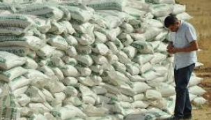 Çiftçi belini gübre artan fiyatları nedeniyle doğrultamıyor