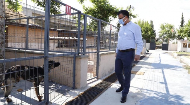 Hayvan barınağında temizlik denetimi
