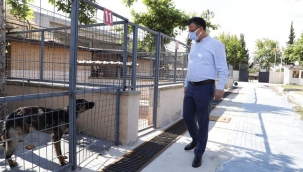 Hayvan barınağında temizlik denetimi