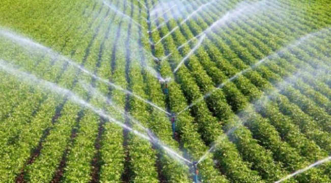 Manisa'da sulama sezonunun başladı