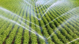 Manisa'da sulama sezonunun başladı