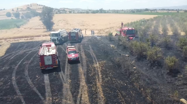 Tire'de yangın,40 dönüm arazi kül oldu