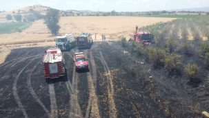Tire'de yangın,40 dönüm arazi kül oldu