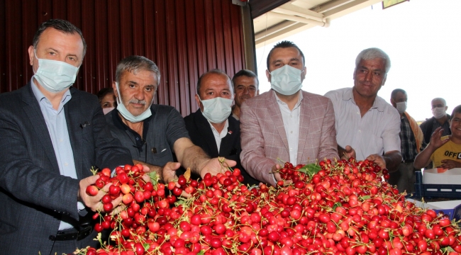 Üreticide şaşırdı: Kirazın fiyat 70 liradan 20 liraya düştü