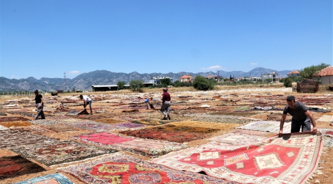 Antalya'da halı harmanı