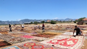 Antalya'da halı harmanı