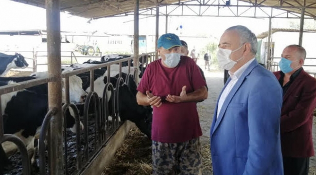 CHP'li Bakırlıoğlu, saman yatırım oldu