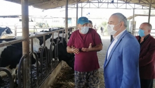 CHP'li Bakırlıoğlu, saman yatırım oldu