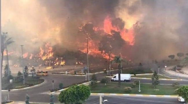 Kayseri.Adana,Mersin,ve Osmaniye'de ülke ormanları yanıyor