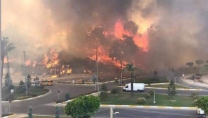 Kayseri.Adana,Mersin,ve Osmaniye'de ülke ormanları yanıyor