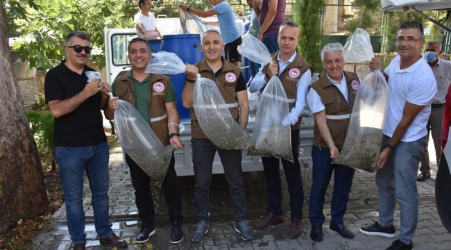 Manisa'da 28 baraj gölüne 694 bin sazan bırakıldı
